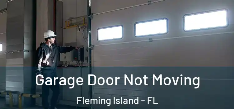  Garage Door Not Moving Fleming Island - FL