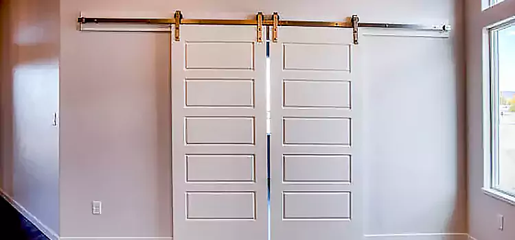 Glass Barn Door with Installation Hardware Kit Fleming Island