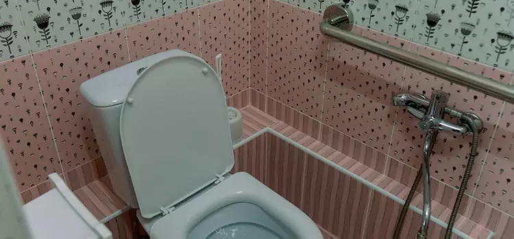 Meeting Diverse Needs With Accessible Restroom Solutions in Fleming Island, FL