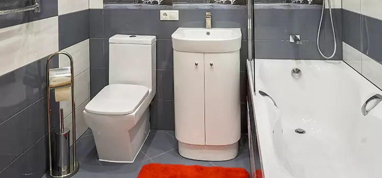 Hansgrohe Shaving Mirror Fleming Island