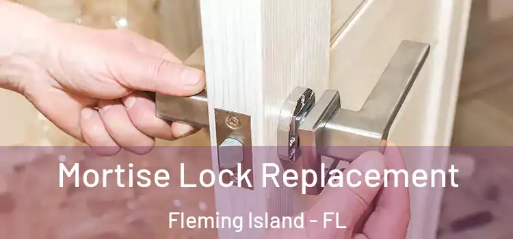  Mortise Lock Replacement Fleming Island - FL